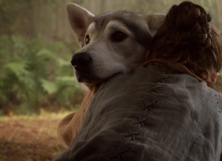 GoT: Nymeria, a loba de Arya Stark, pode voltar para série