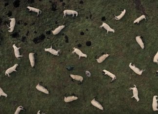 Conheça “Dark”, a nova série de terror da Netflix