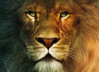 Diretor de Capitão América entra para equipe de As Crônicas de Nárnia: A Cadeira de Prata