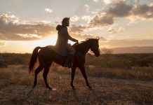 Netflix divulga trailer e cartaz da produção nacional ‘O Matador’