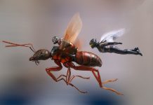 Confira o novo clipe divulgado de ‘Homem-Formiga e a Vespa’