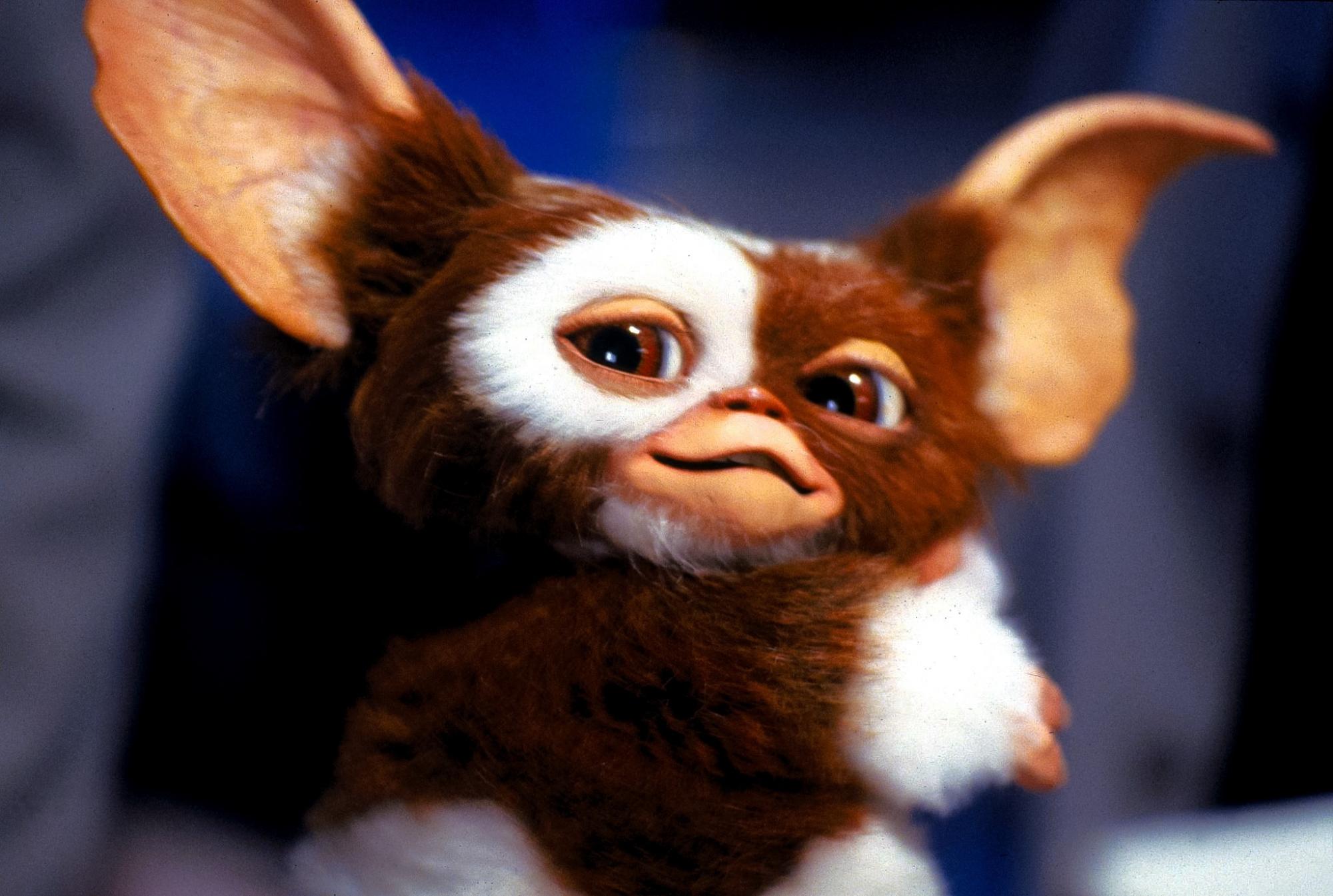 O Cl Ssico Gremlins Vai Ganhar S Rie Animada Da Warner Cine Mundo