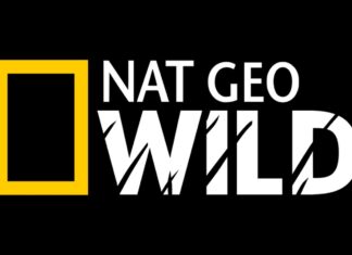 “Clínica de Animais Exóticos” estreia no Nat Geo Wild no dia 12 de Outubro