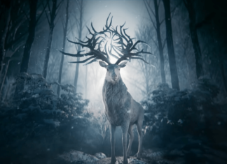 Veja o primeiro teaser de “Sombra e Ossos” da Netflix